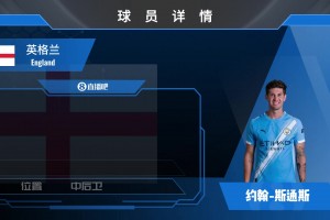 球员集锦：瑞典边路突击手 可胜任边锋/前腰的金左脚库卢